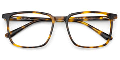 Aidan Rectangle Tortoise Glasses