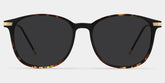 Greene Square Glasses