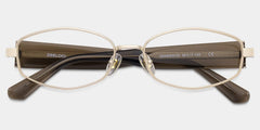 Dakota Brown Rectangle Glasses