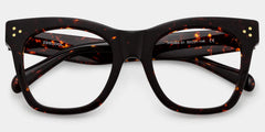 Gordon Rectangle Tortoise Glasses