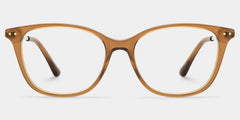 Finch Brown Rectangle Glasses