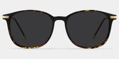 Greene Square Glasses
