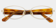Dakota Tortoise Rectangle Glasses