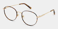 Ian Round Tortoise Glasses