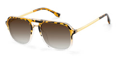 Kilworth Aviator Tortoise clear Glassess