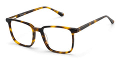 Aidan Rectangle Tortoise Glasses