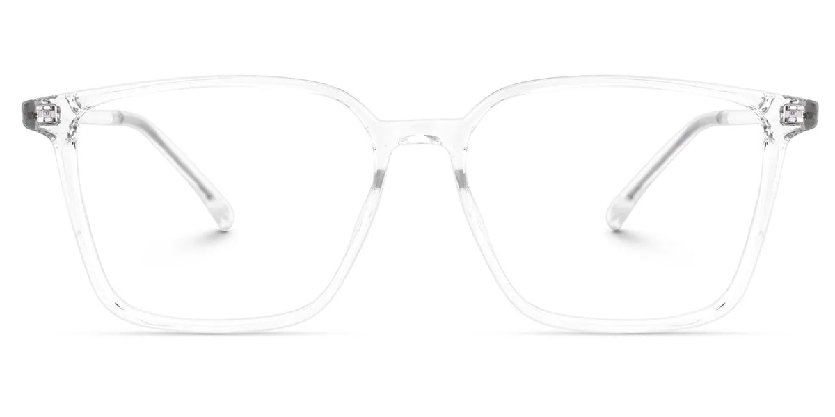 Raytina Square Clear Glasses