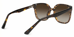 Siner Square Tortoise Glasses