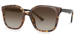 Siner Square Tortoise Glasses