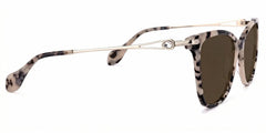 Westley Butterfly Light-Tortoise Glasses