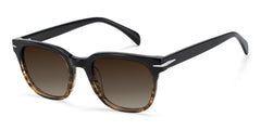 Rocco Rectangle Brown Frame Polarized Sunglasses
